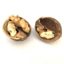 Top Selling Delicious Raw Natural Organic Walnut In Shell For Sell